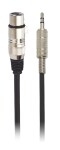 Bespeco EAMC450