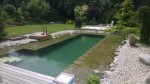 Fatra Aquaplast 805 PVC - Jezírková fólie 2 m šířka, 1,5 mm tloušťka, 20 m kotouč - olivově zelená (RAL6006)