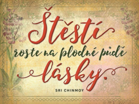 Plechová cedulka Štěstí roste