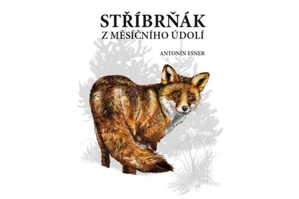 Stříbrňák Měsíčního údolí