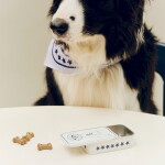 HAY Plechová dóza na pamlsky Blue Small, modrá barva, kov