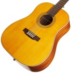 Tanglewood TW40-12 SD AN E