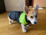 Slim-rainy obleček pro psa na zip Barva: Černo-červená, Délka zad (cm): 51, Obvod hrudníku: 74 - 80 cm