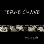 Avjam Pale - CD - Terne Čhave