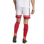 Šortky adidas Squadra 25 M JH3404 s