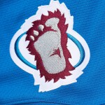 Mitchell & Ness Pánský dres Peter Forsberg Colorado Avalanche 1995 NHL Dark Jersey Velikost: L