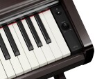 Yamaha YDP-146R