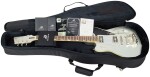 Duesenberg Falken Silver Tremolo