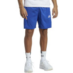 Adidas Aeroready Essentials Chelsea 3-Stripes Shorts IC1487