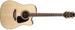 Takamine GD51CE Natural