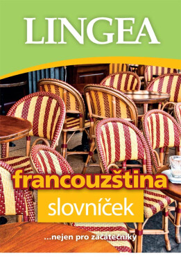Francouzština slovníček, 1. vydání