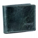 Trendová pánská menší kožená peněženka Dokl, černá