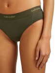 Dámské merino kalhotky ICEBREAKER Wmns 125 Cool-Lite Sprite Hipster, Dark Loden velikost: L
