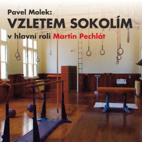 Vzletem sokolím - Pavel Molek - audiokniha