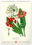 Nástěnný kalendář 2026 NOTIQUE - Vintage plakáty – herbář, 33 x 46 cm