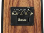 Ibanez V40WSCE Brown