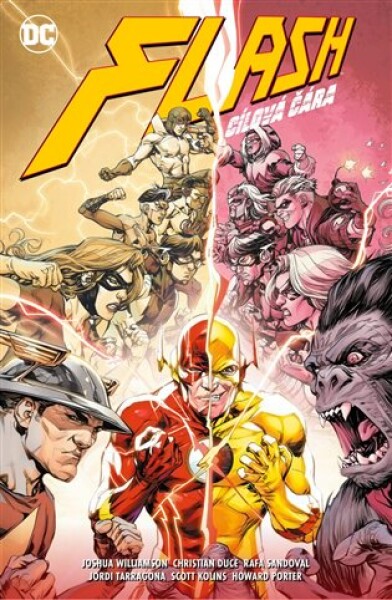 Flash Cílová čára (15)