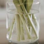 Eulenschnitt Skleněná váza Floral Clear 14 cm, čirá barva, sklo