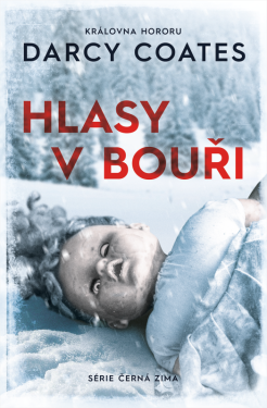 Hlasy v bouři (poškozená) - Darcy Coates
