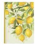 Notes tečky - A5 - lamino - Citrony