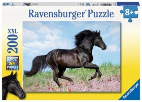 Ravensburger Černý hřebec