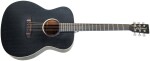 Tanglewood TB3