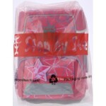 Školní aktovka SPACE pro prvňáčky - 5-dílný set, Step by Step Star Stella, certifik