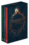 Bradavická knihovna