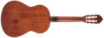 Cort AC200 3/4 OP