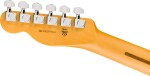 Fender American Professional Telecaster RW BLK