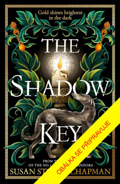 Klíč stínů - Susan Stokes-Chapman