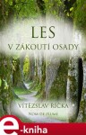 Les v zákoutí osady - Vítězslav Říčka e-kniha