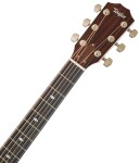 Taylor Legacy 810e