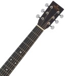 Sigma Guitars DM-STL