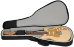 Eastman FT-DC'62 Desert Sand