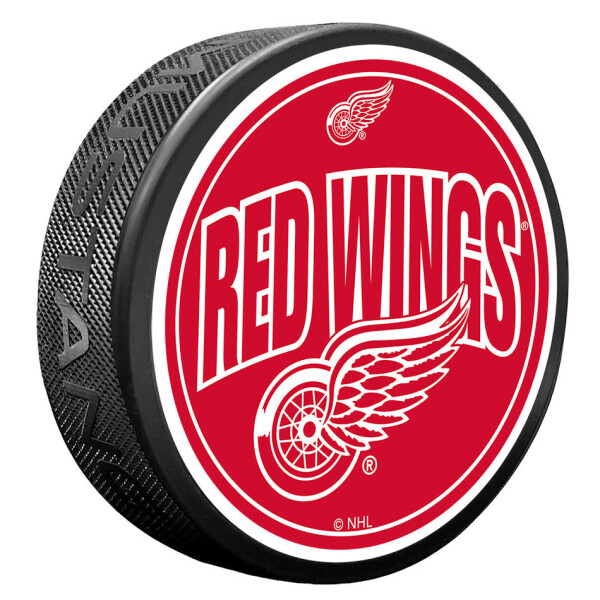 Mustang Puk Detroit Red Wings NHL Wordmark