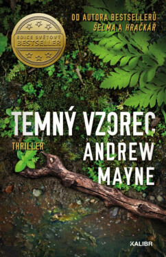 Temný vzorec (poškozená) - Andrew Mayne