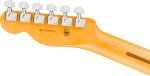 Fender American Professional Telecaster RW NAT