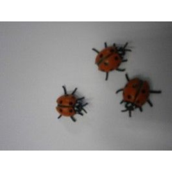 Erfurth.cz Mini beruška