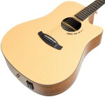 Tanglewood TM5CE