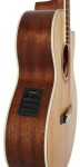 Cort NDX Baritone NS
