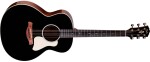 Taylor Gold Label 514e Blacktop