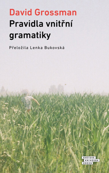 Pravidla vnitřní gramatiky - David Grossman