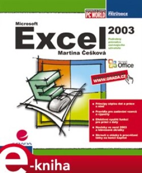 Excel 2003. podrobný průvodce začínajícího uživatele - Martina Češková e-kniha