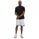Karl Kani Small Signature Pinstripe Mesh Shorts M 6014921 L