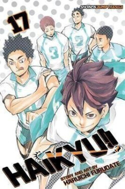 Haikyu!! 17 - Haruichi Furudate