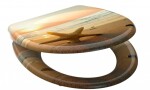 Schütte SEA STAR | Duroplast, Soft Close 4008431823737