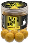 Haldorádó Boilies v dipu Dipped Max Motion 20mm 80g - Champion corn,Haldorádó Boilies v dipu Dipped Max Motion 20mm 80g - Champion corn