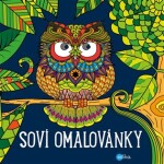 Soví omalovánky