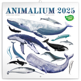 Poznámkový kalendář Animalium 2025